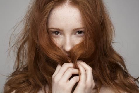 Ginger for hair: leaving and beauty