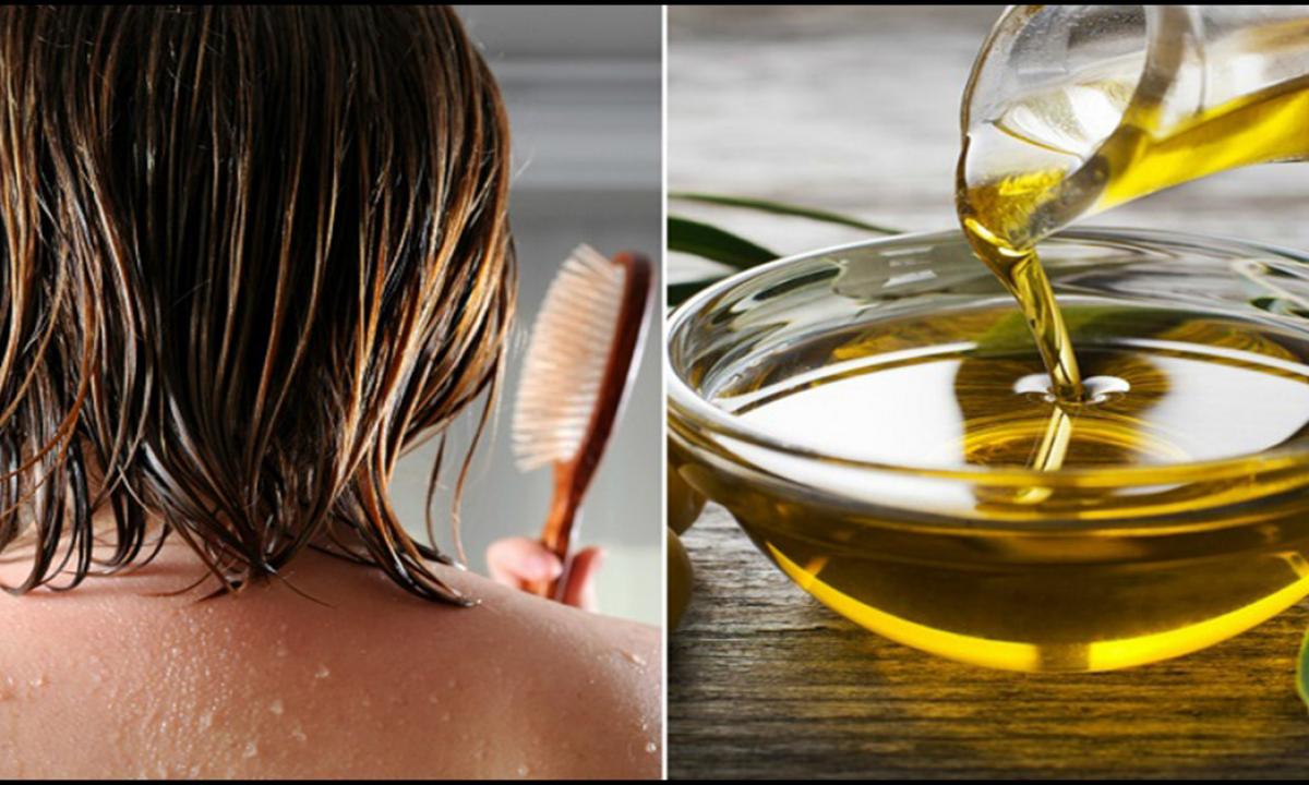 Olive oil for hair: advantage and rules of application