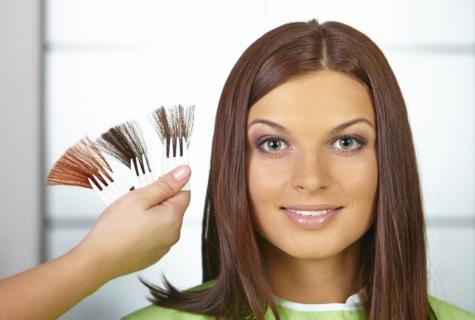 How to choose paint for clarification of hair