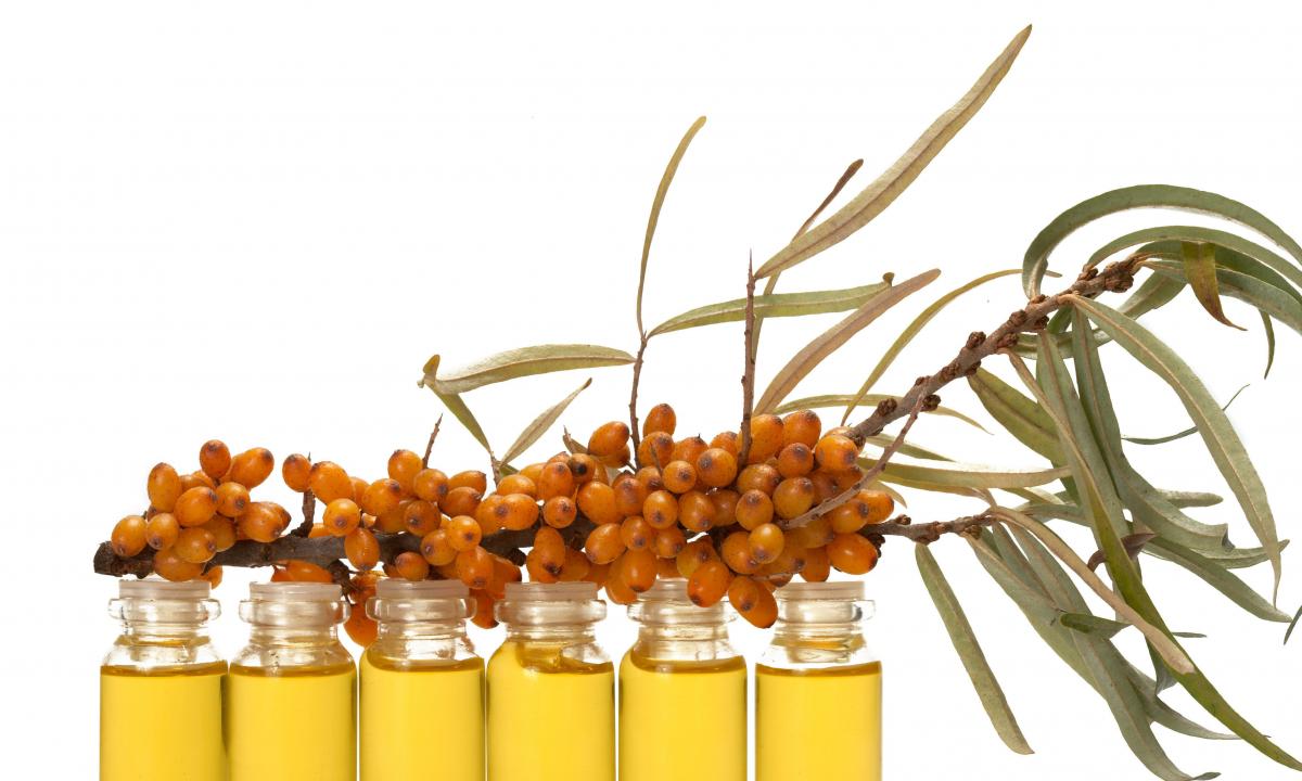 Strengthening of hair sea-buckthorn oil