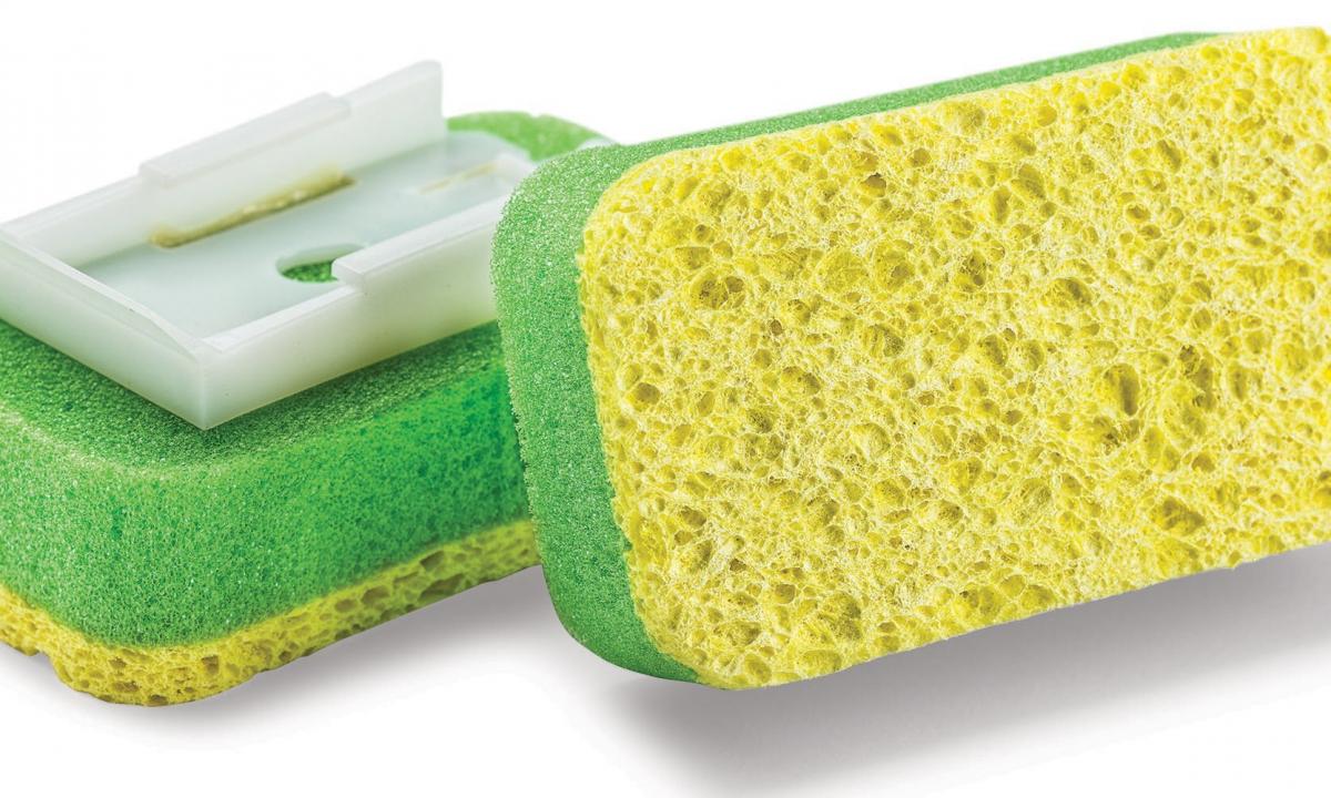 What is sponge