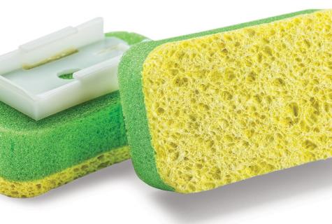 What is sponge