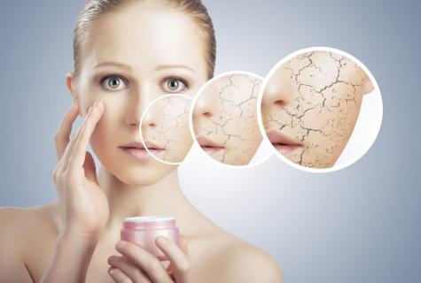 How to look after dry face skin in the flying