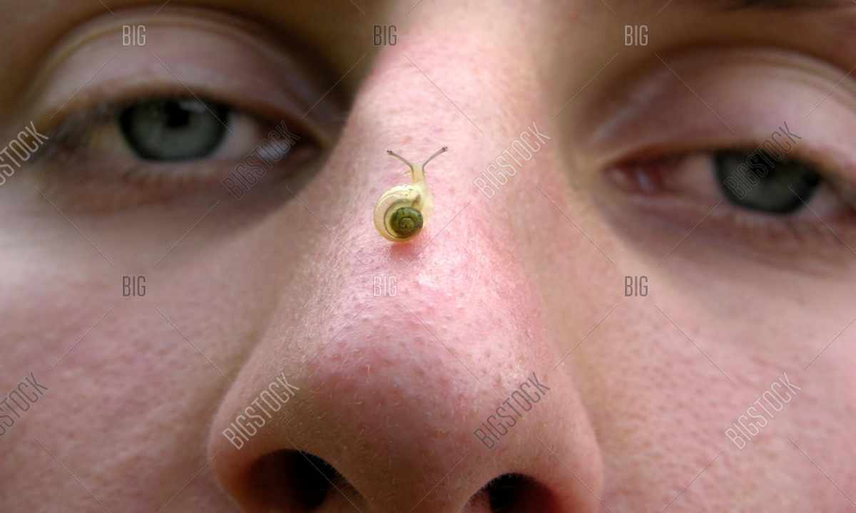 How to insert ""snail"" into nose