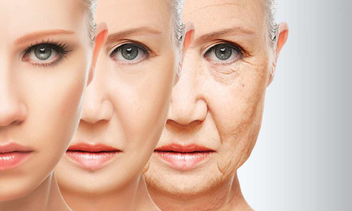 Against old age and wrinkles: peptides in the rejuvenating cosmetics