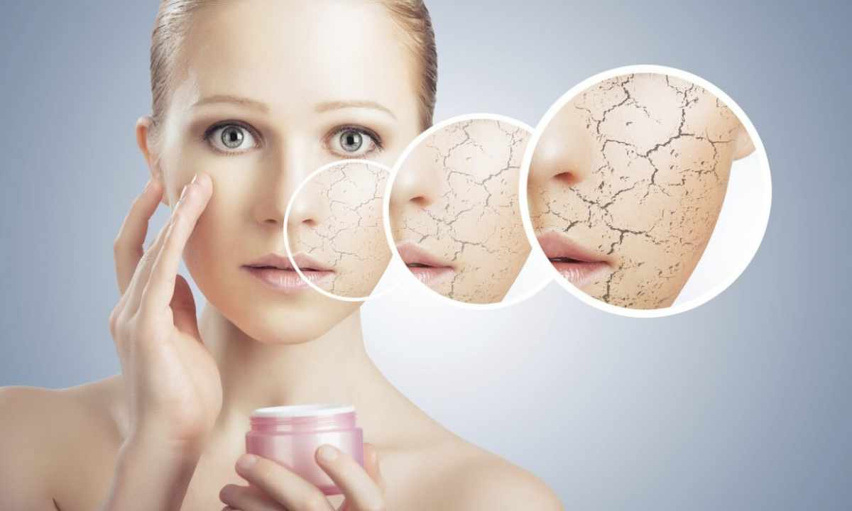 How to look after dry face skin in house conditions
