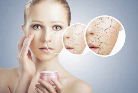 How to look after dry face skin in house conditions