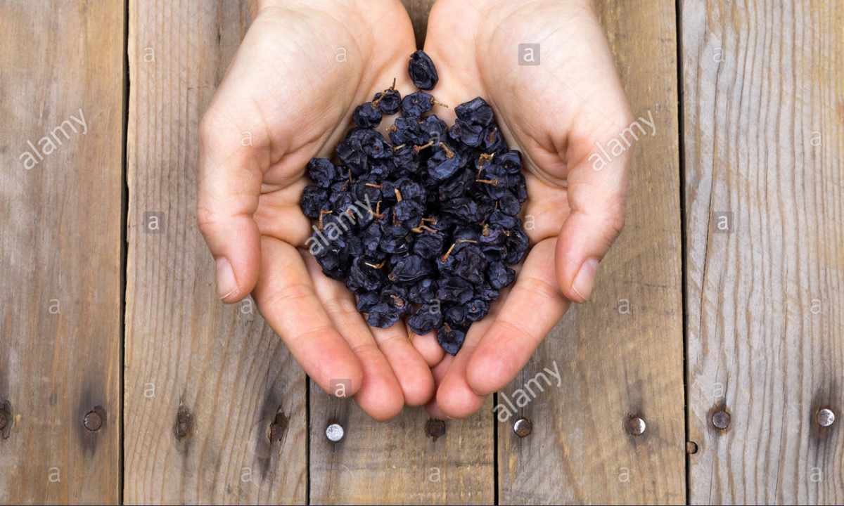 Srub from grape seeds the hands