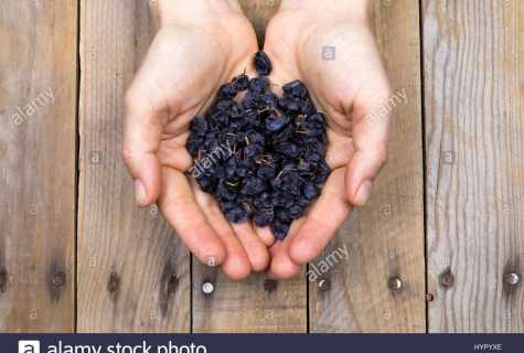 Srub from grape seeds the hands