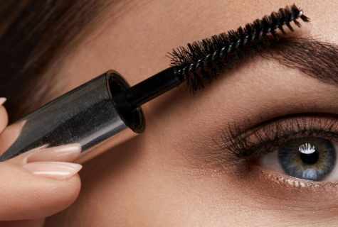 Coloring of eyebrows and eyelashes: what it is necessary to know about the paint choice