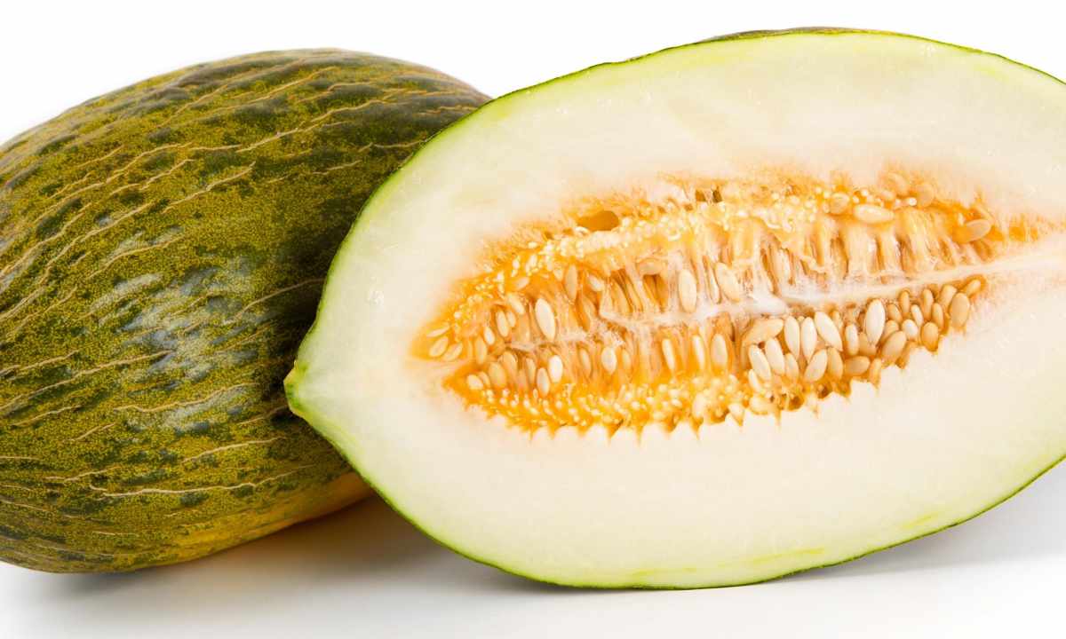 Melon for appearance persons