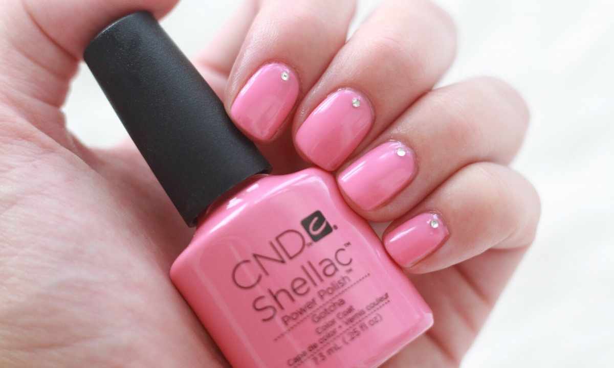 Whether it is possible to combine shellac with biogel