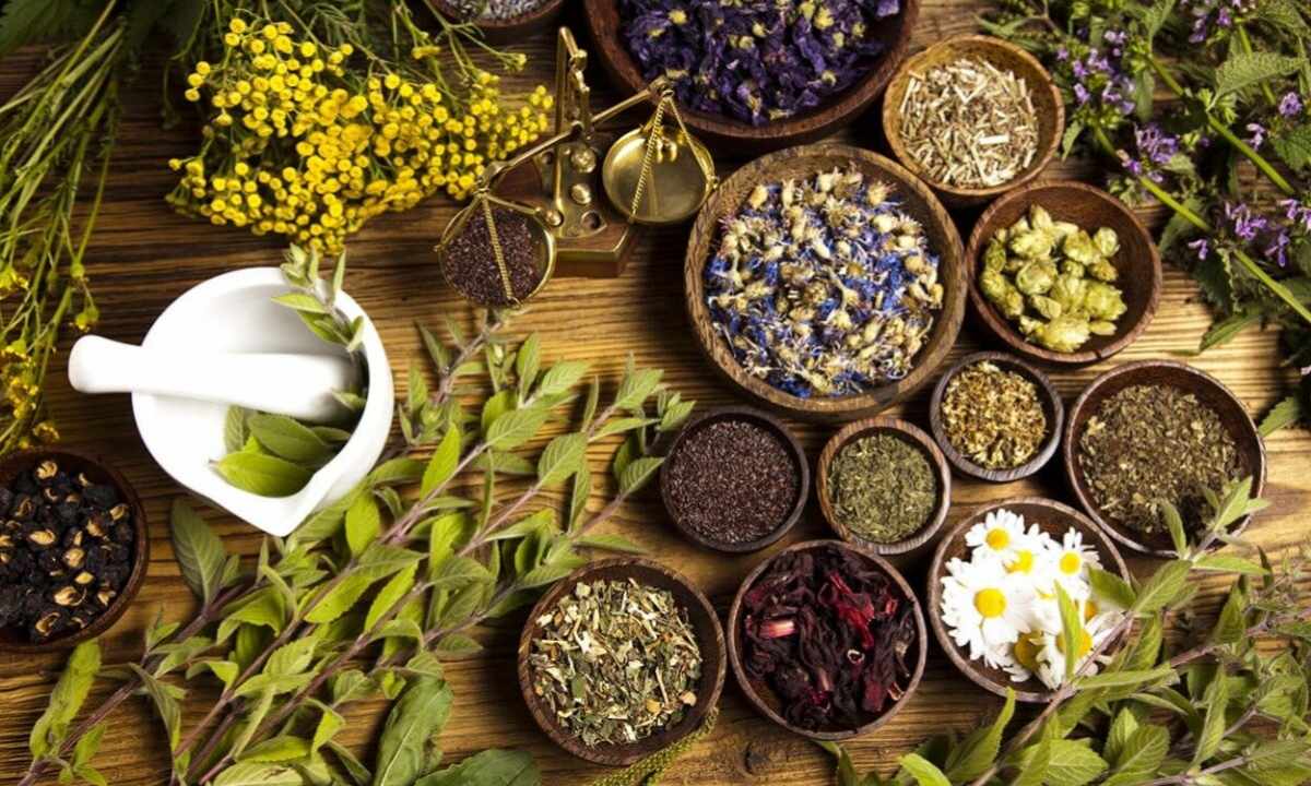 Herbs for weight loss: recipes of beauty