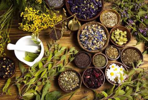 Herbs for weight loss: recipes of beauty