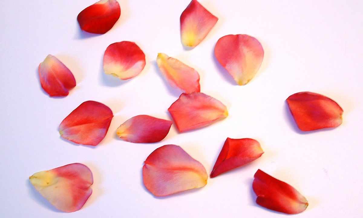 How to draw flower petals on nails