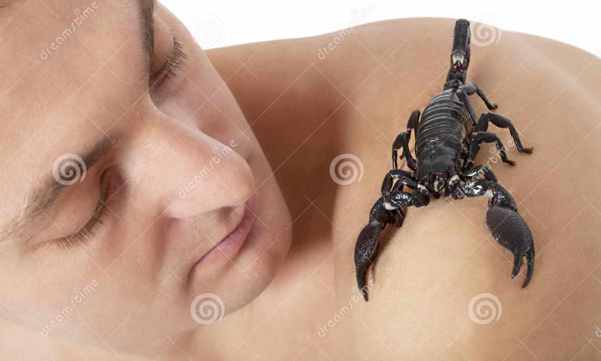 How to surprise the man of a scorpion
