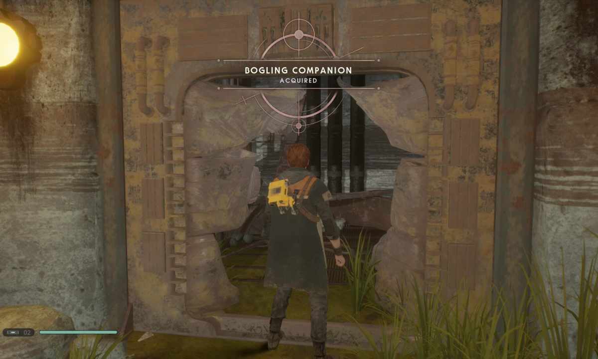 How to find the companion