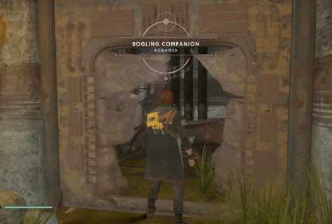 How to find the companion