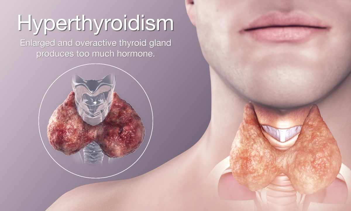 How to check a thyroid gland