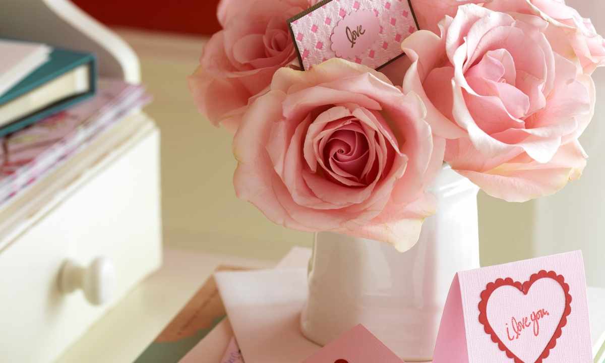 How to present pink roses