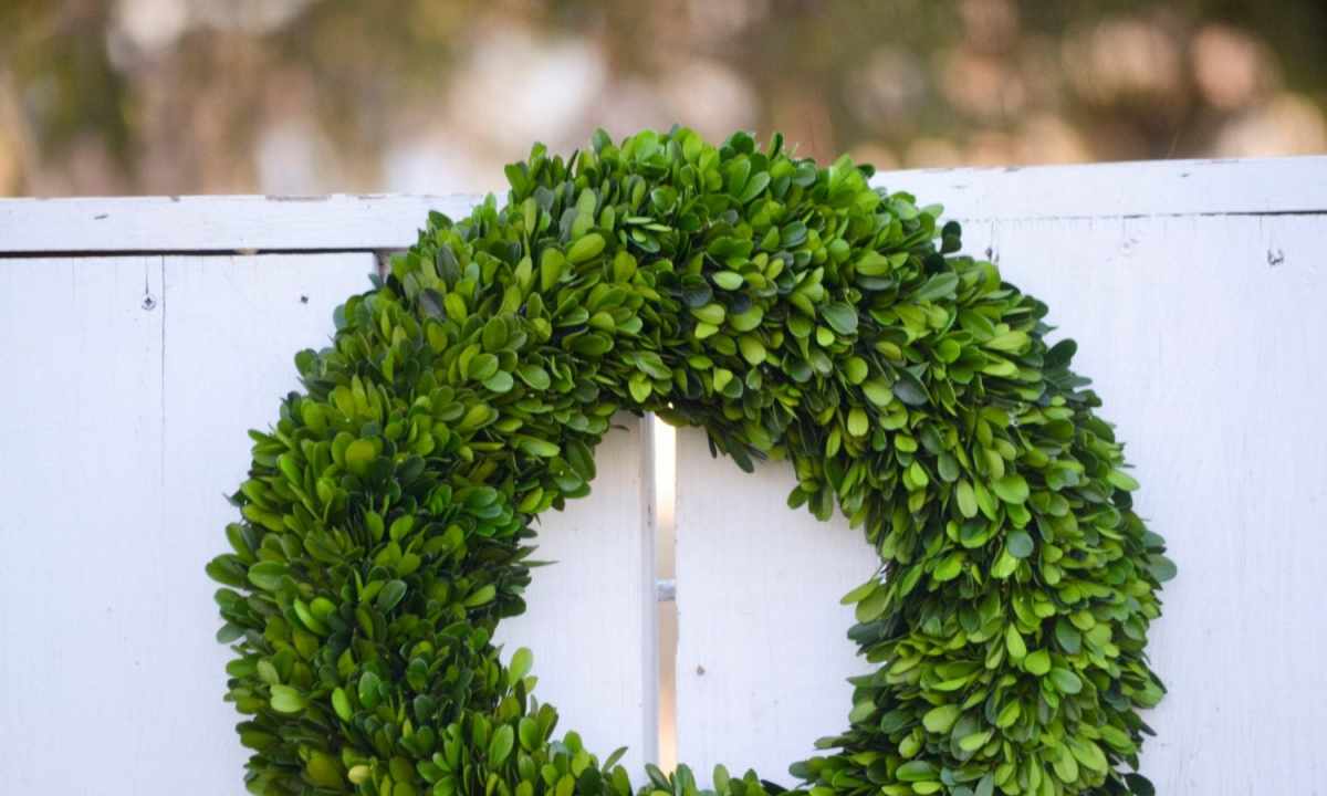 How to define a celibacy wreath