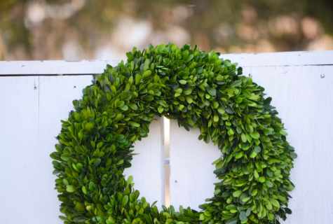 How to define a celibacy wreath