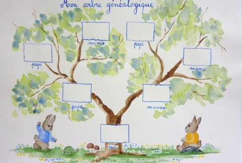 How to draw a family tree