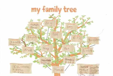 How to construct a family tree