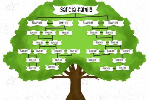 How to make a family tree of the family