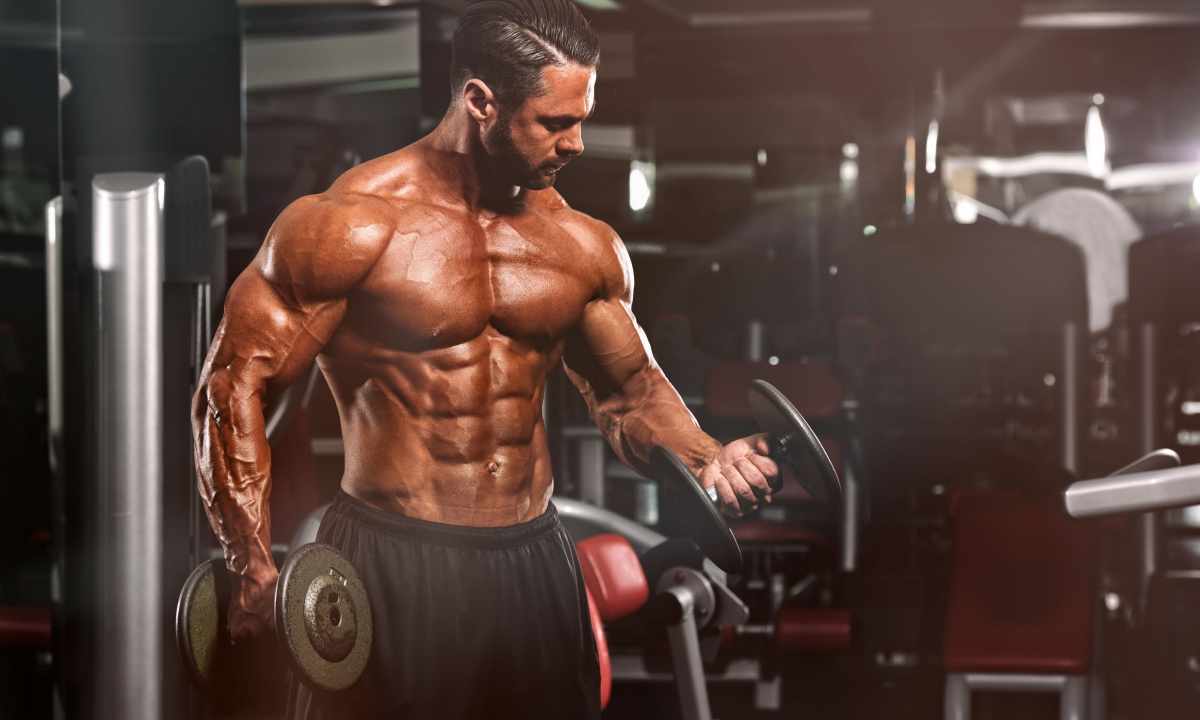 The most popular general exercises in bodybuilding