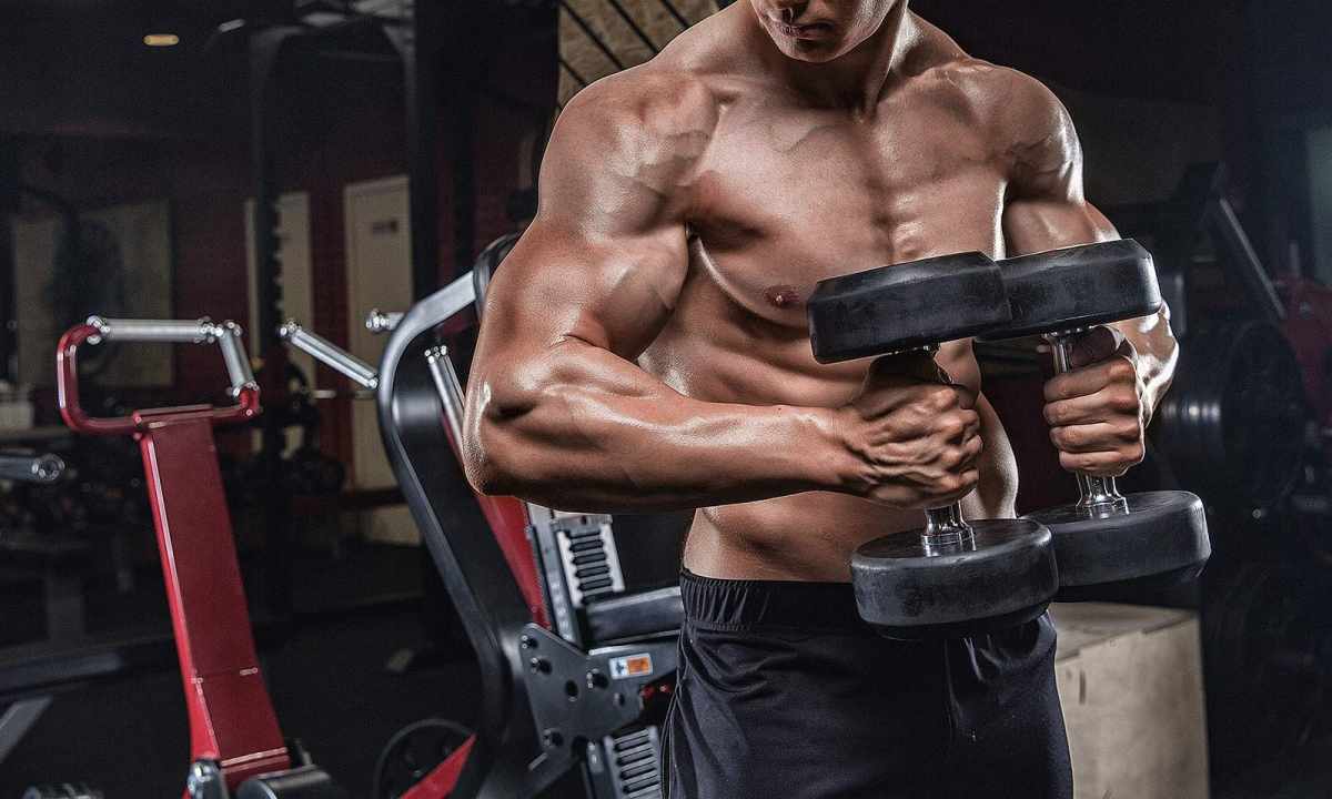 Dumbbell exercises for the training of pectoral muscles