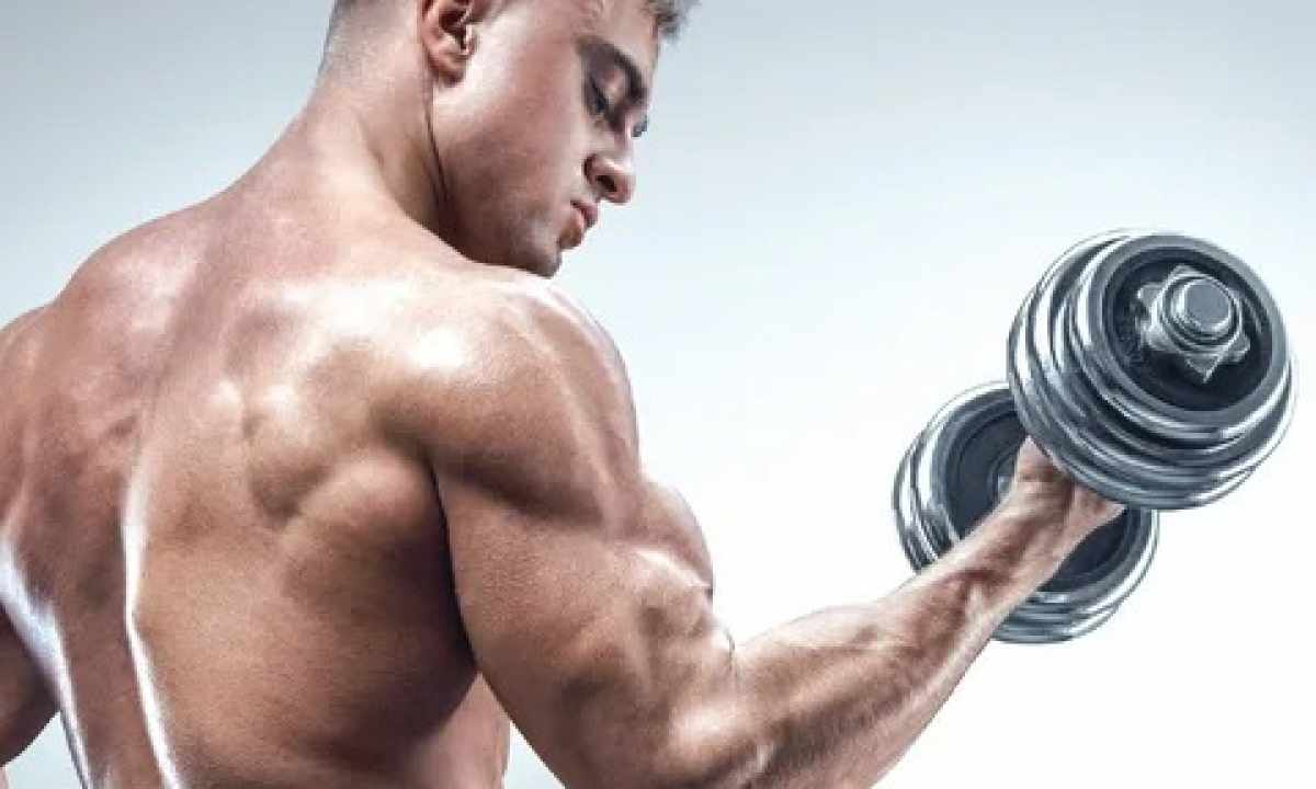 How to increase the muscular strength