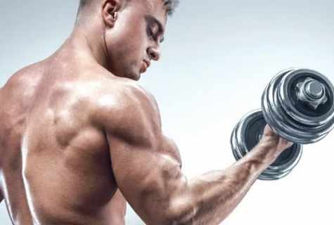 How to increase the muscular strength