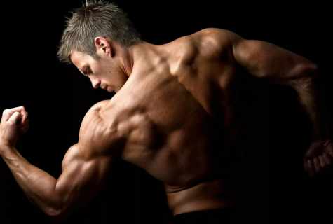 How to pump up the shoulder biceps