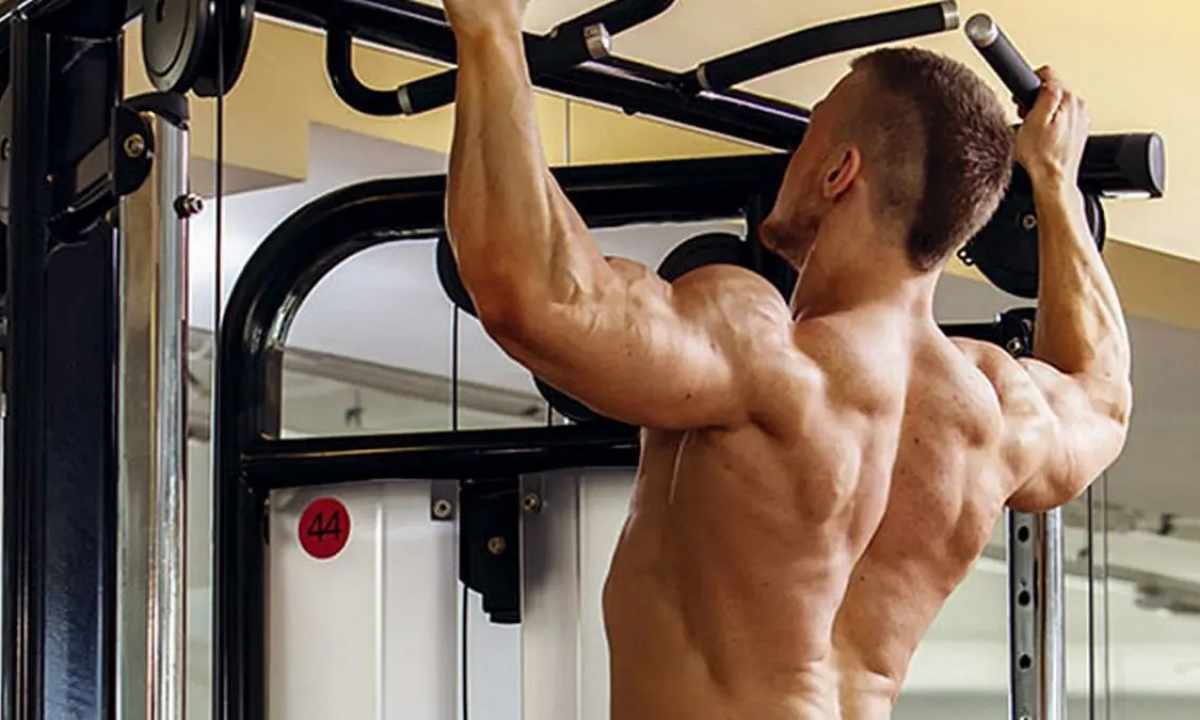 What muscles work at pullings up