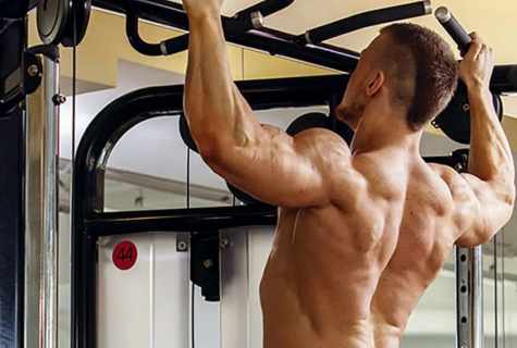 What muscles work at pullings up