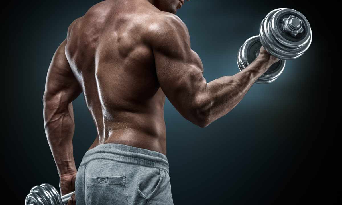 How to pump up the biceps