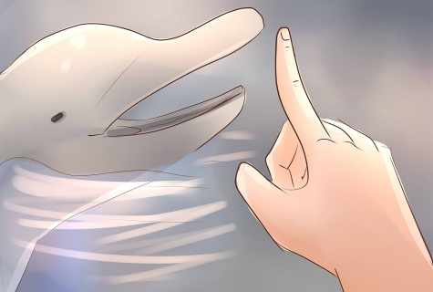 How to train fingers