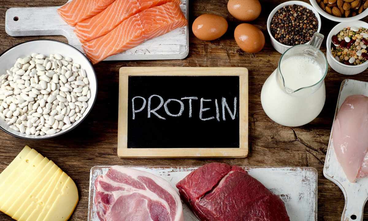 Than proteins are useful