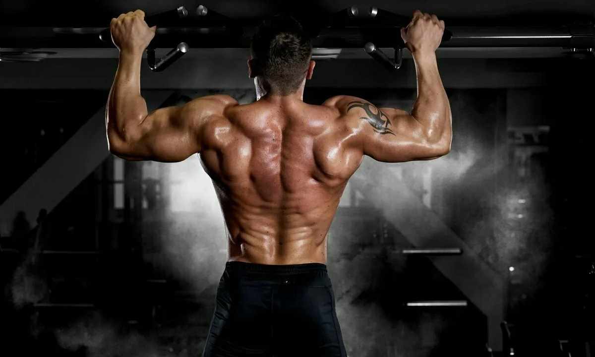 How to train back muscles