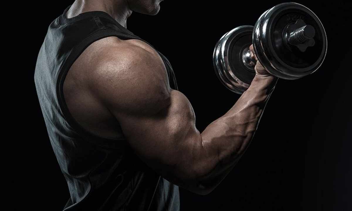 How to pump up all bunches of the biceps