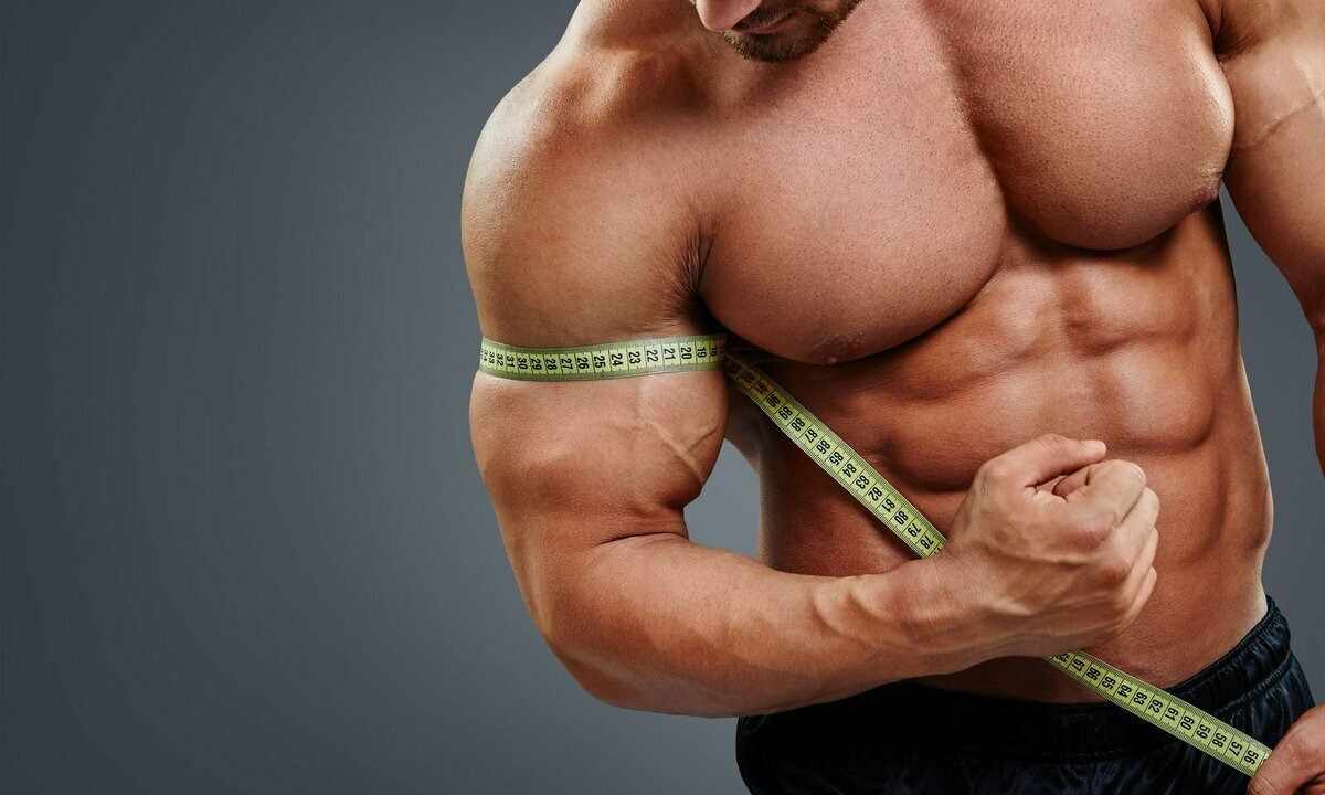 How to measure muscles