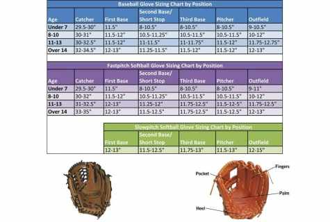 How to choose the baseball glove