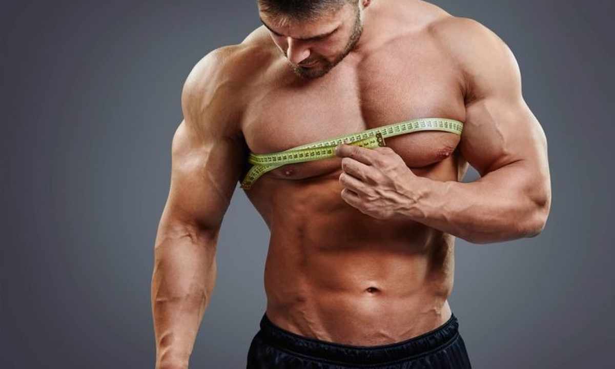 Why muscles grow