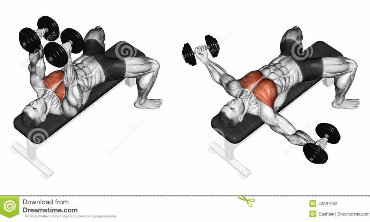 How to pump up pectoral muscles dumbbells