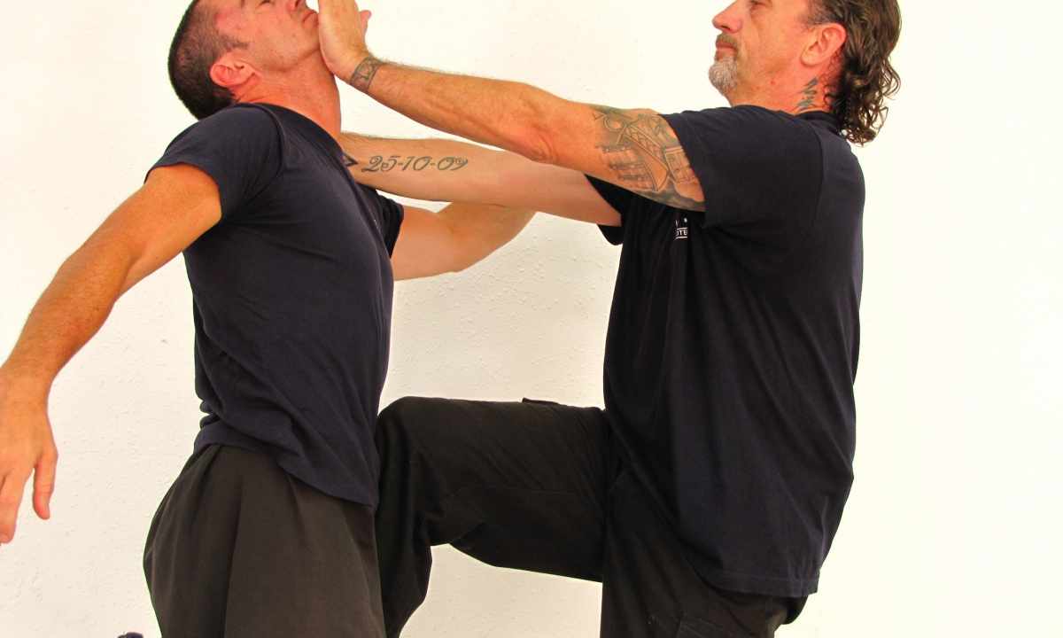 How to learn self-defense in house conditions