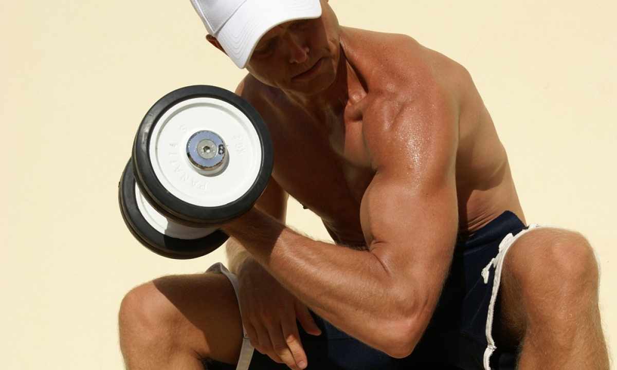 How to pump up the biceps: program