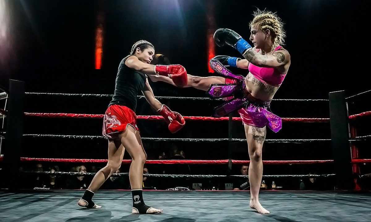 Kickboxing competitions: system of rules