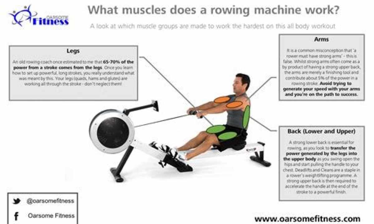 How to choose the exercise machine for group of muscles