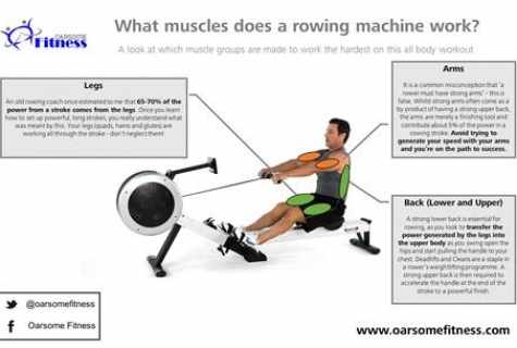 How to choose the exercise machine for group of muscles